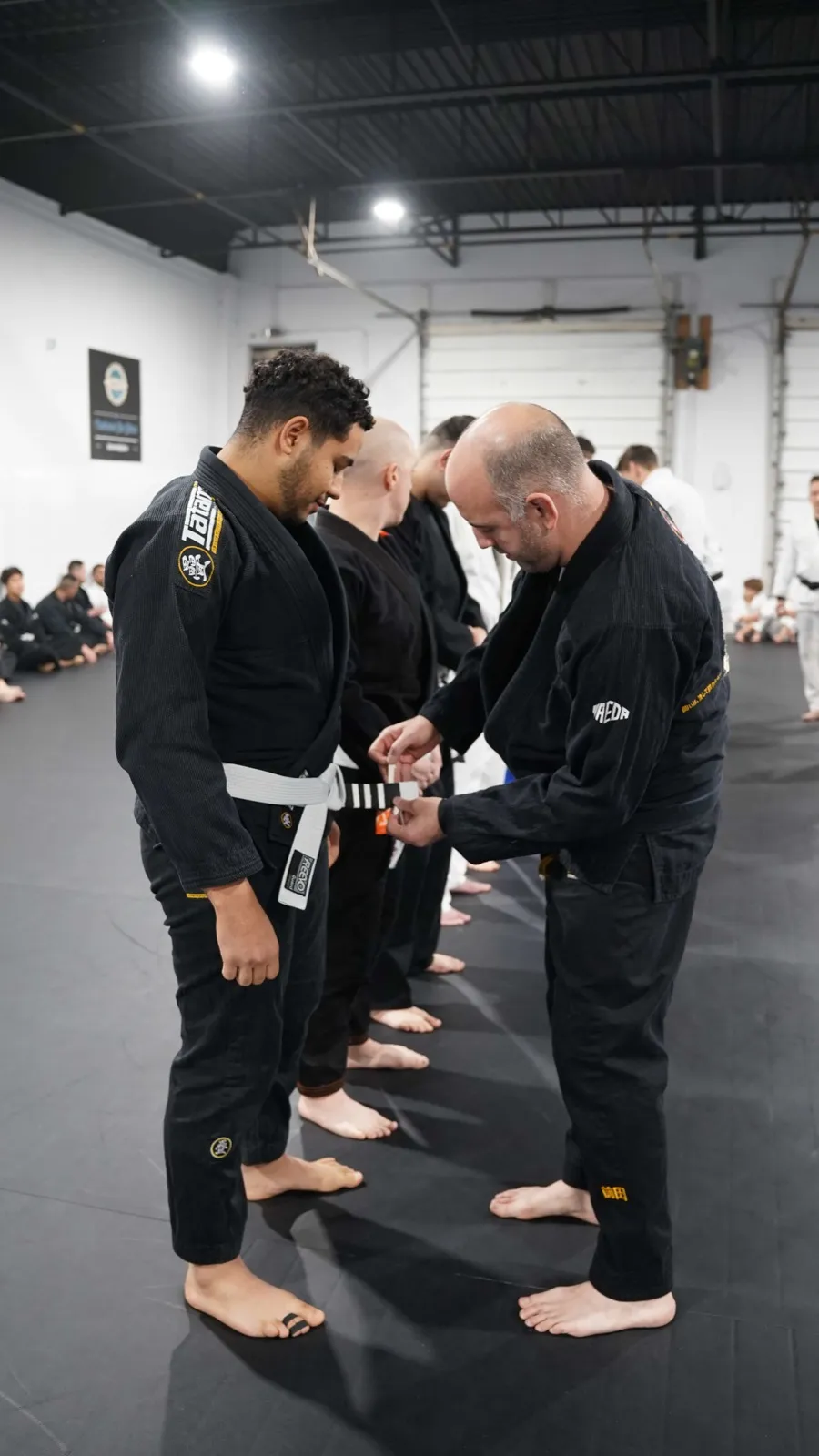 Belt stripe promotion